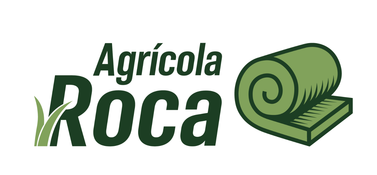 Logo Roca